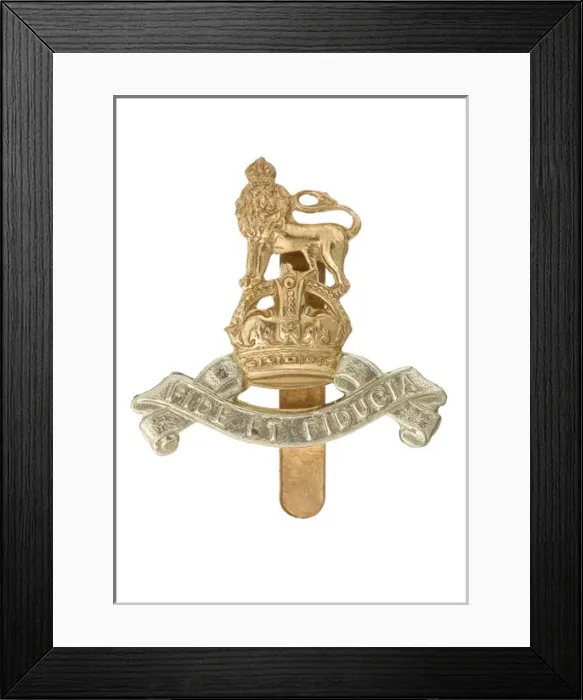 Framed Print : Military Badge Framed Print : Military Badge