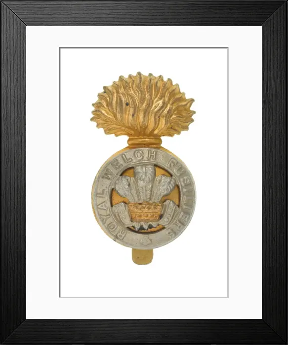 Framed Print : Military Badge Framed Print : Military Badge