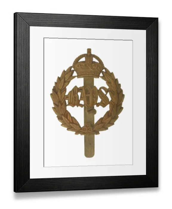 Framed Print : Military Badge Framed Print : Military Badge