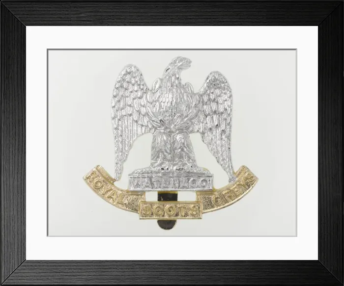 Framed Print : Military Badge Framed Print : Military Badge