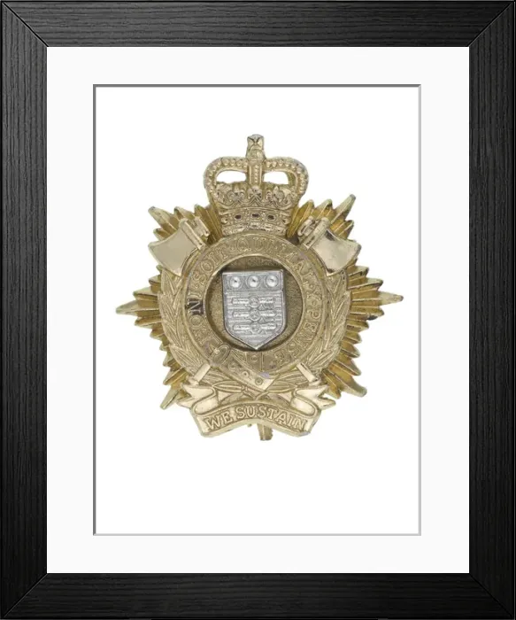 Framed Print : Military Badge Framed Print : Military Badge