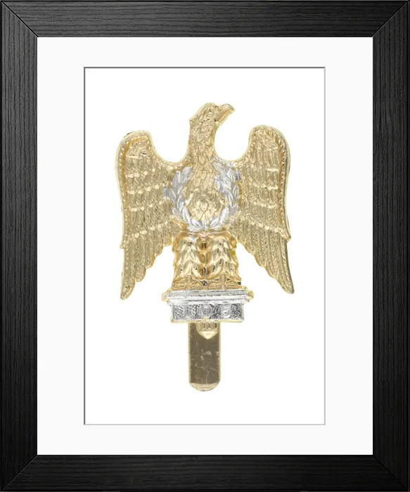 Framed Print : Military Badge Framed Print : Military Badge