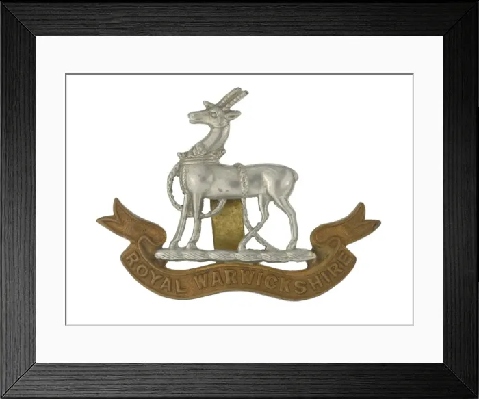 Framed Print : Military Badge Framed Print : Military Badge
