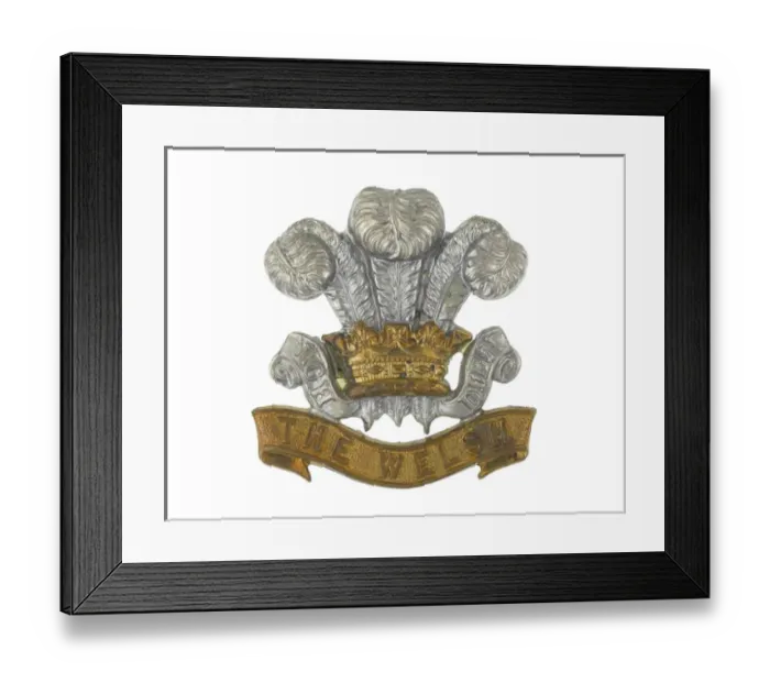 Framed Print : Military Badge Framed Print : Military Badge