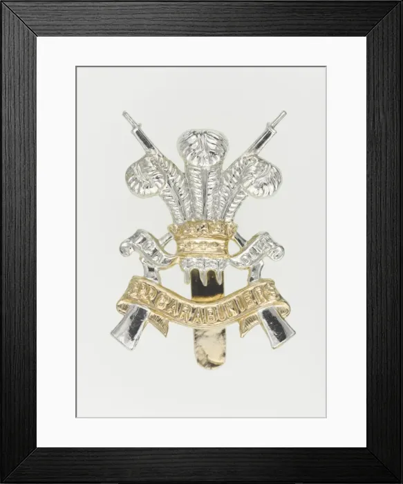 Framed Print : Military Badge Framed Print : Military Badge