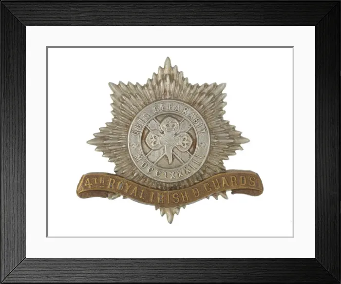 Framed Print : Military Badge Framed Print : Military Badge