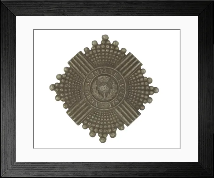 Framed Print : Military Badge Framed Print : Military Badge
