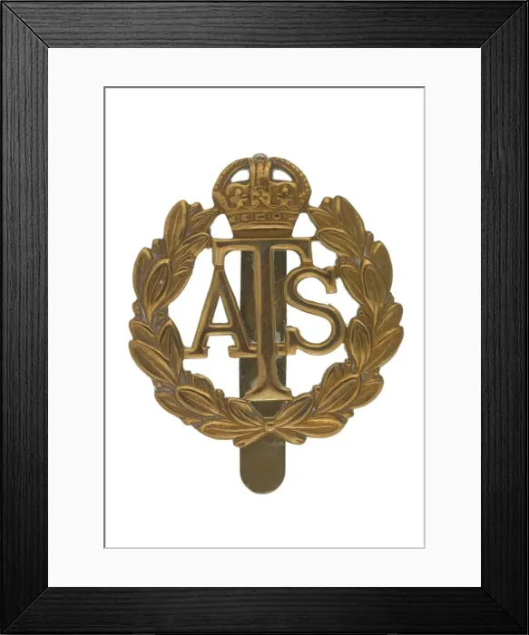 Framed Print : Military Badge Framed Print : Military Badge