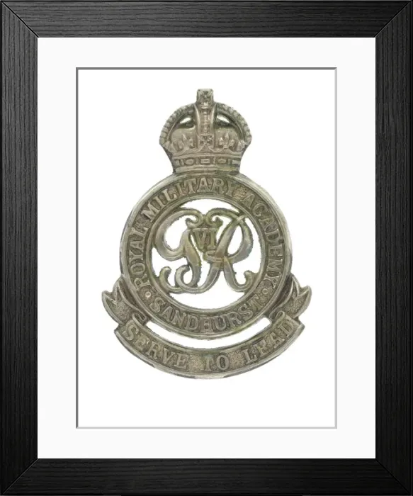 Framed Print : Military Badge Framed Print : Military Badge
