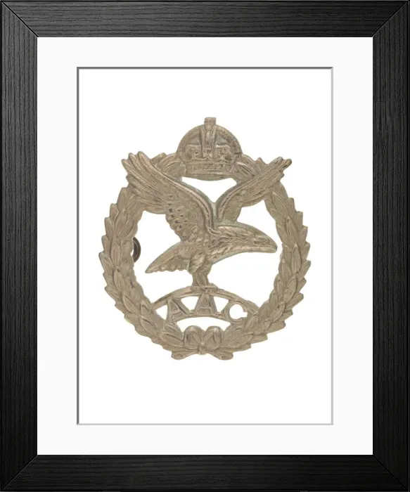 Framed Print : Military Badge Framed Print : Military Badge