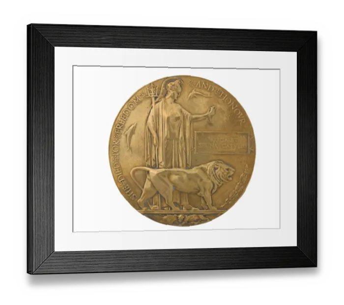 Framed Print : Military Award - Medal - Decoration Framed Print : Military Award - Medal - Decoration