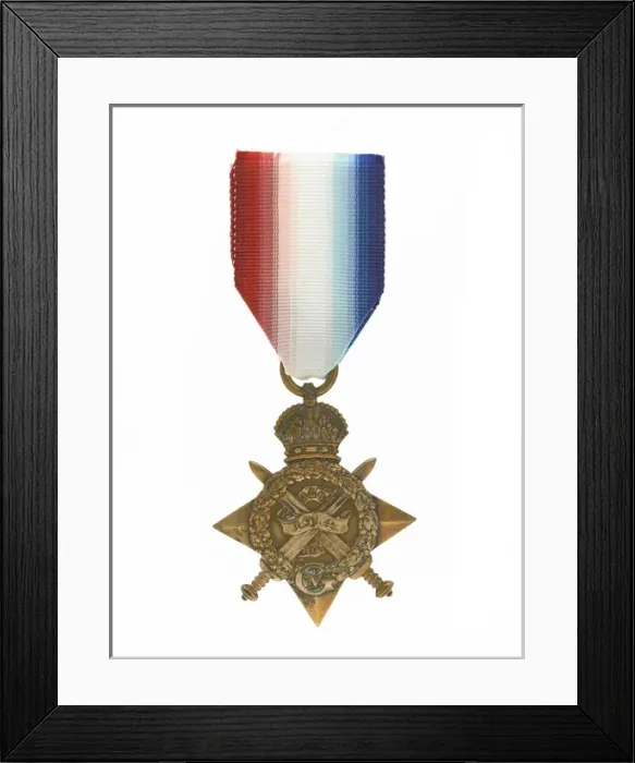 Framed Print : Military Badge Framed Print : Military Badge