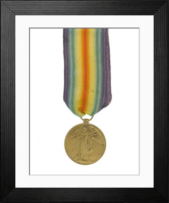 Framed Print : Military Award - Medal - Decoration Framed Print : Military Award - Medal - Decoration