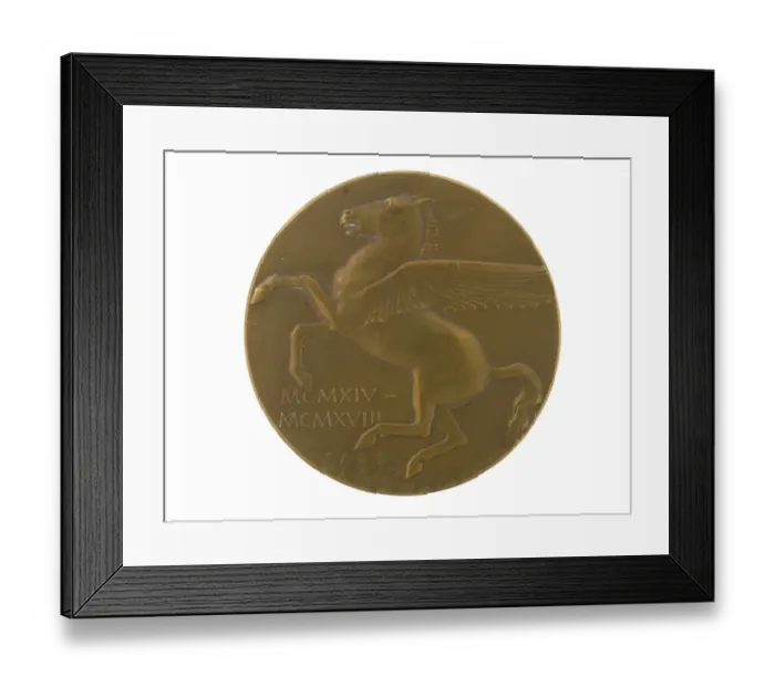 Framed Print : Military Award - Medal - Decoration Framed Print : Military Award - Medal - Decoration