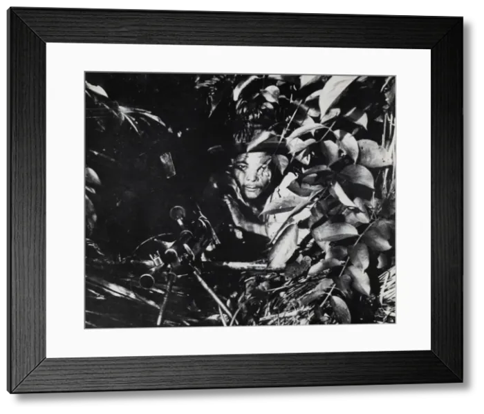Framed Print : Concealed machine gun position in the jungle Framed Print : Concealed machine gun position in the jungle