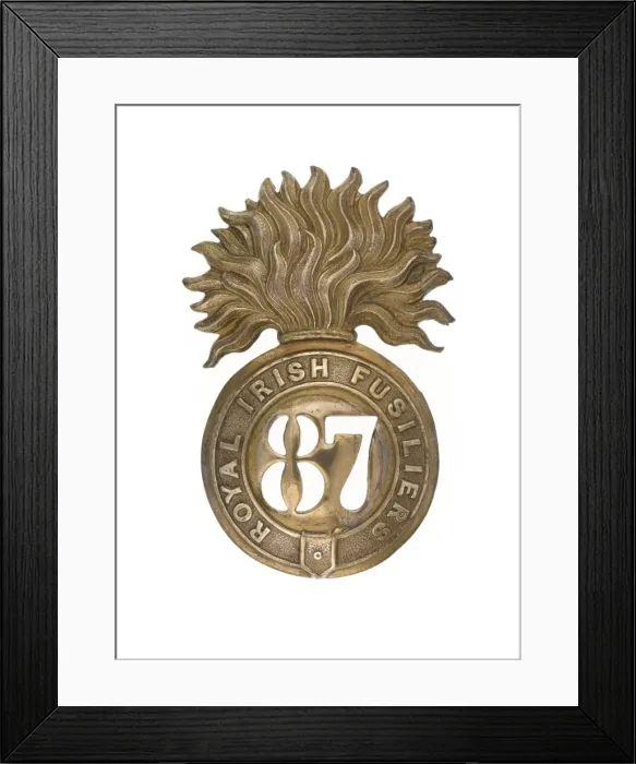 Framed Print : Military Badge Framed Print : Military Badge