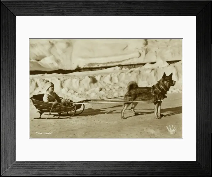 Framed Print : Prince Harald of Norway Framed Print : Prince Harald of Norway