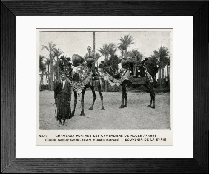 Framed Print : Syrian Wedding Train - camels bearing drums and drummers Framed Print : Syrian Wedding Train - camels bearing drums and drummers
