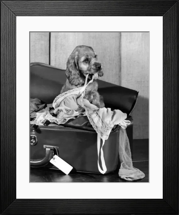 Framed Print : Susi - with stockings and underwear Framed Print : Susi - with stockings and underwear