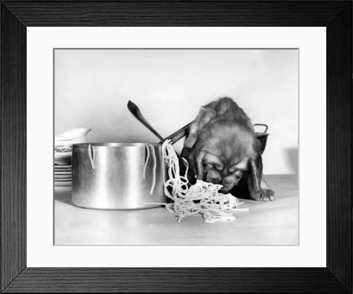Framed Print : Susi - with pan of spaghetti Framed Print : Susi - with pan of spaghetti