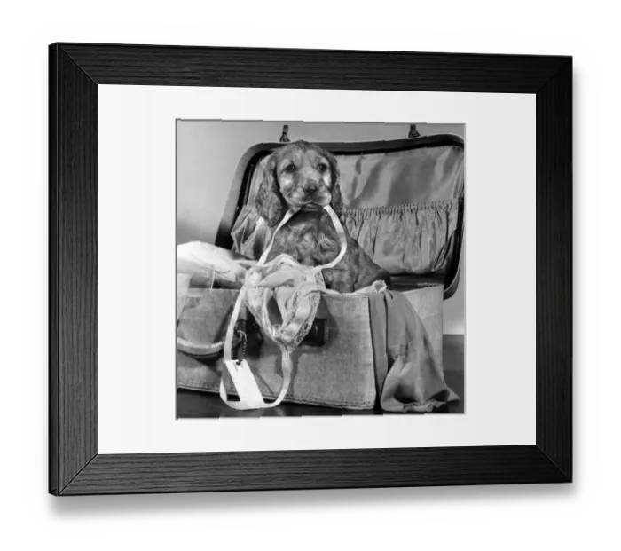 Framed Print : Susi - with suitcase of clothes Framed Print : Susi - with suitcase of clothes