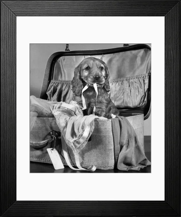 Framed Print : Susi - with suitcase of clothes Framed Print : Susi - with suitcase of clothes