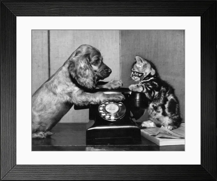 Framed Print : Susi - with cat and telephone Framed Print : Susi - with cat and telephone