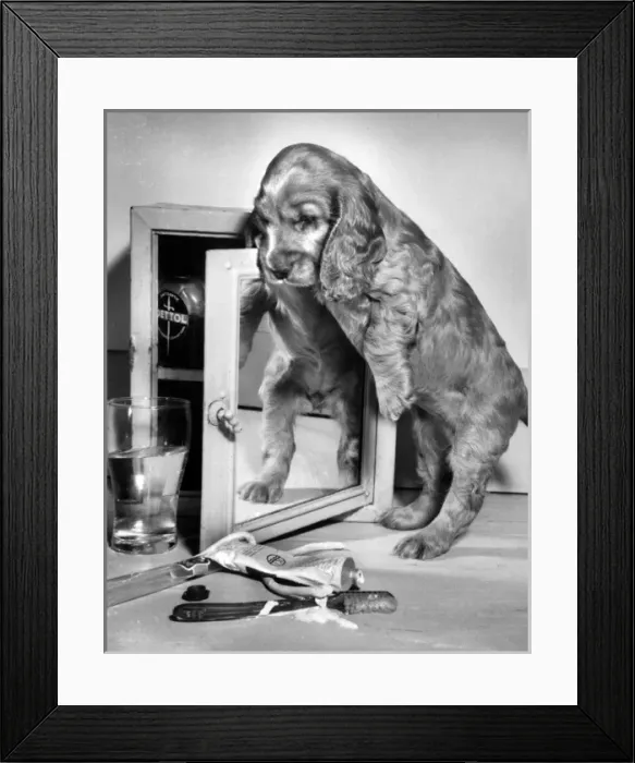 Framed Print : Susi - with toothbrush and toothpaste Framed Print : Susi - with toothbrush and toothpaste