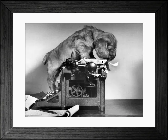 Framed Print : Susi - with manual typewriter Framed Print : Susi - with manual typewriter