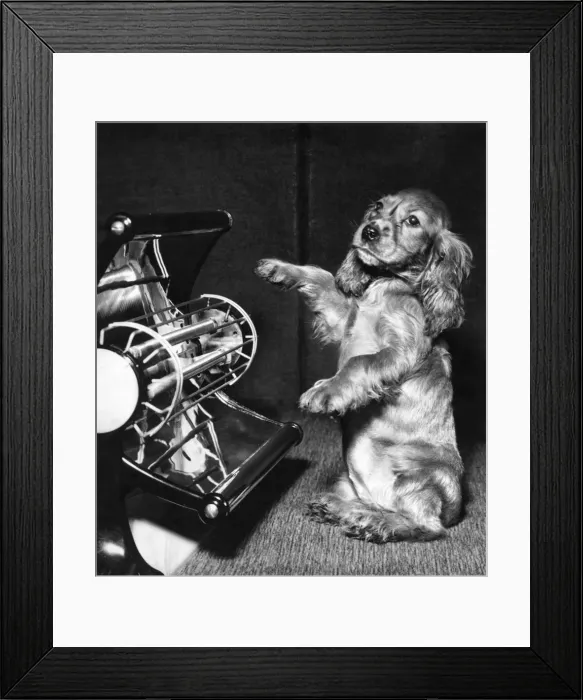 Framed Print : Susi - with electric bar fire Framed Print : Susi - with electric bar fire