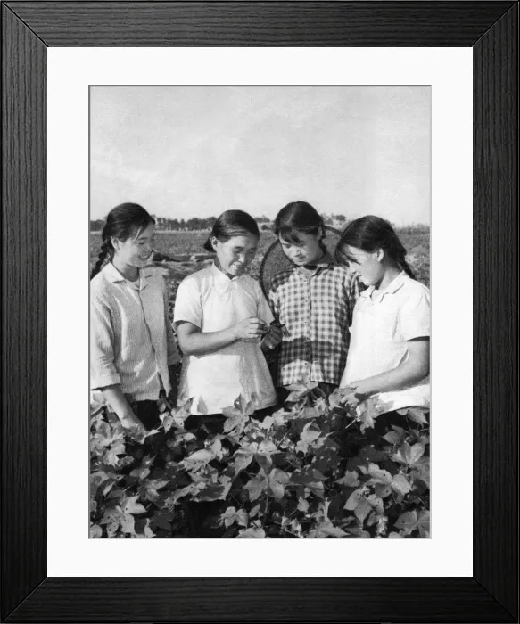 Framed Print : Communist China - agricultural training