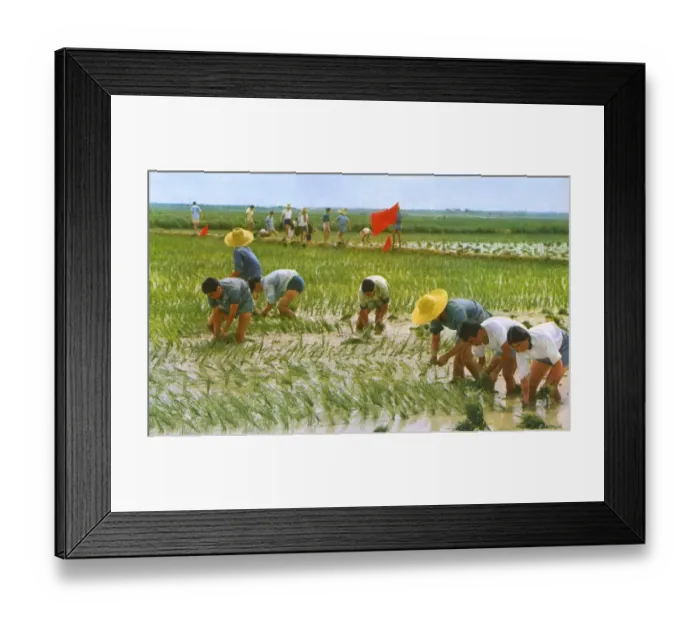 Framed Print : Communist China - agricultural workers Framed Print : Communist China - agricultural workers