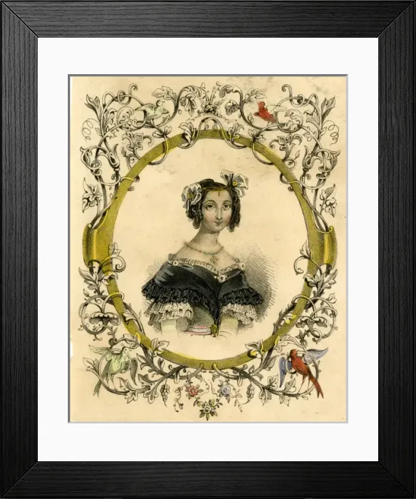 Framed Print : Gallery of Beauties Framed Print : Gallery of Beauties