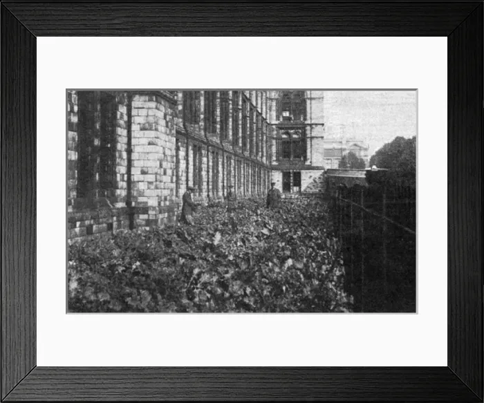 Framed Print : Natural History Museum, WW1 farm Framed Print : Natural History Museum, WW1 farm