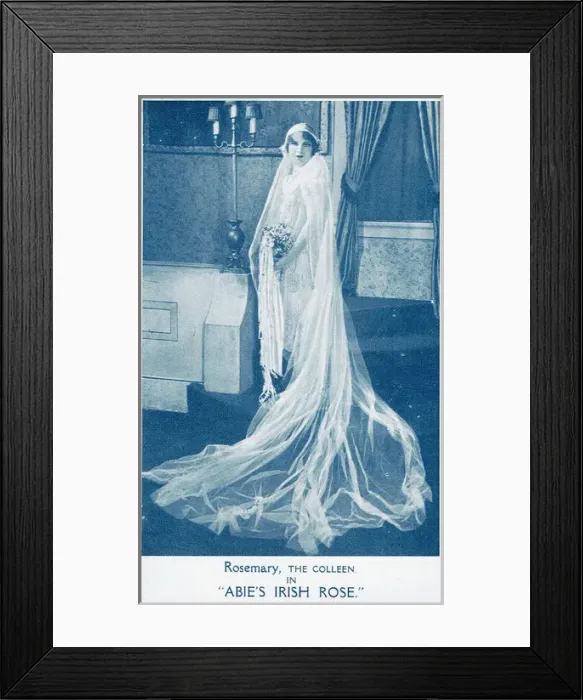 Framed Print : Abies Irish Rose by Anne Nichols Framed Print : Abies Irish Rose by Anne Nichols