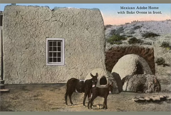 Adobe House - Mexico - Bake Ovens and Mules