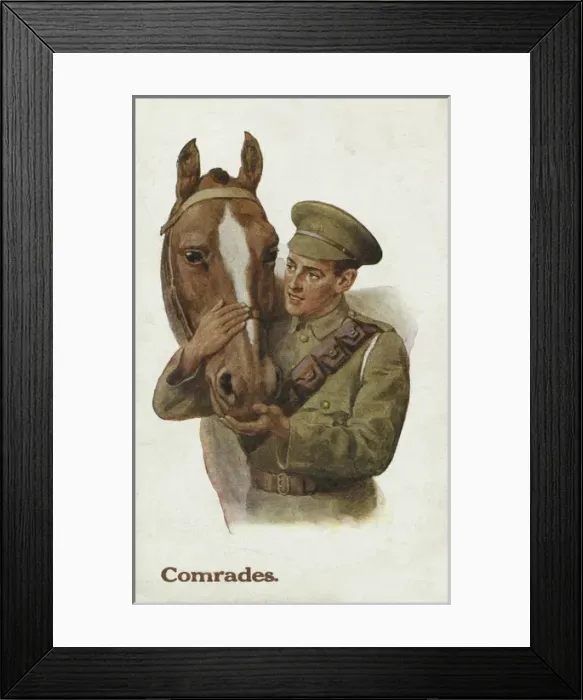 Framed Print : Comrades. Postcard: Comrades.One of two postcards showing soldiers with horses, dating Framed Print : Comrades. Postcard: Comrades.One of two postcards showing soldiers with horses, dating