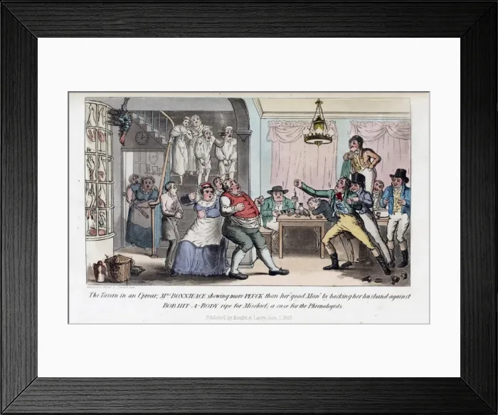 Framed Print : Pierce Egans Anecdotes: catroon brawl in tavern Framed Print : Pierce Egans Anecdotes: catroon brawl in tavern