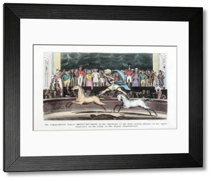 Framed Print : Pierce Egans Anecdotes: stunt riding astride 2 horses Framed Print : Pierce Egans Anecdotes: stunt riding astride 2 horses