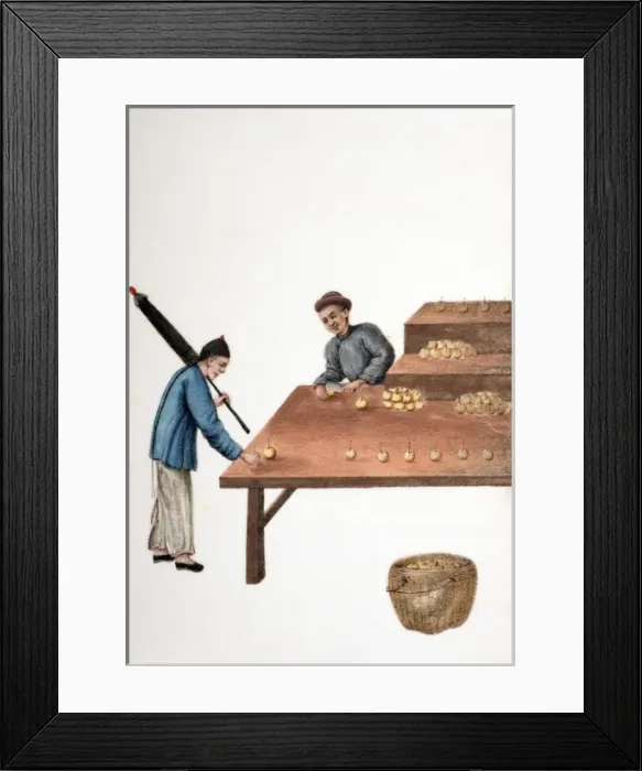 Framed Print : Drawing of Chinese market traders arranging fruit Framed Print : Drawing of Chinese market traders arranging fruit