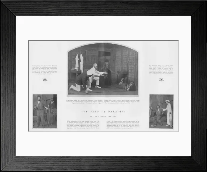 Framed Print : Scenes from the Hawaiian romance The Bird of Paradise, Garri Framed Print : Scenes from the Hawaiian romance The Bird of Paradise, Garri