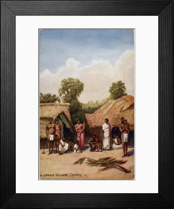 Framed Print : Sri Lanka - A Jungle Village Framed Print : Sri Lanka - A Jungle Village