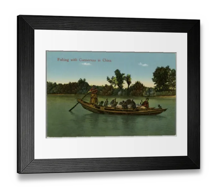 Framed Print : Fishing with cormorants - China Framed Print : Fishing with cormorants - China