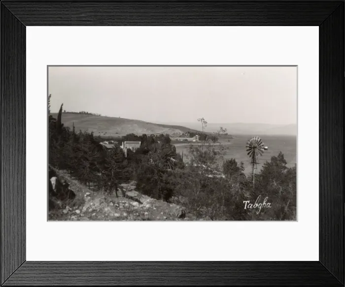 Framed Print : Tabgha, Sea of Galilee, Israel Framed Print : Tabgha, Sea of Galilee, Israel