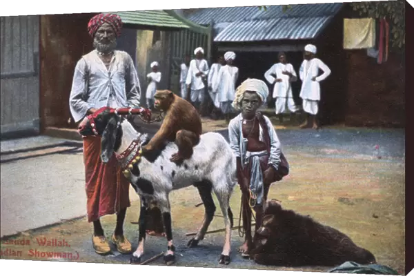 Banda Wallah (showman) with boy and animals, India
