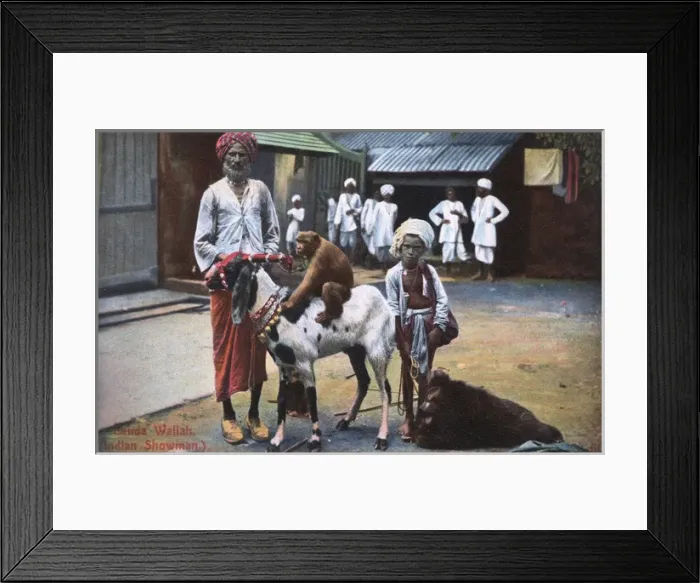 Framed Print : Banda Wallah (showman) with boy and animals, India Framed Print : Banda Wallah (showman) with boy and animals, India