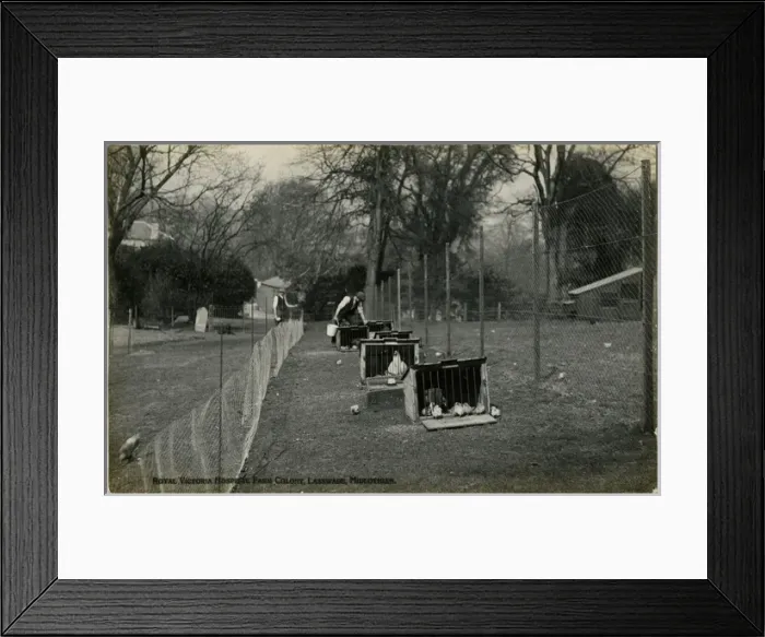 Framed Print : Royal Victoria Hospital Farm Colony, Polton, Scotland Framed Print : Royal Victoria Hospital Farm Colony, Polton, Scotland