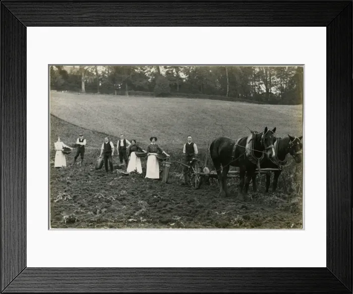 Framed Print : Royal Victoria Hospital Farm Colony, Polton, Scotland Framed Print : Royal Victoria Hospital Farm Colony, Polton, Scotland