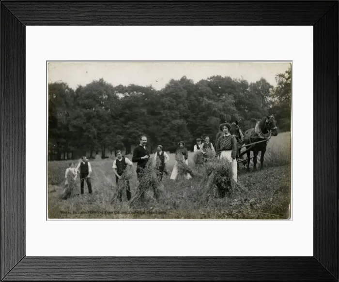 Framed Print : Royal Victoria Hospital Farm Colony, Polton, Scotland Framed Print : Royal Victoria Hospital Farm Colony, Polton, Scotland