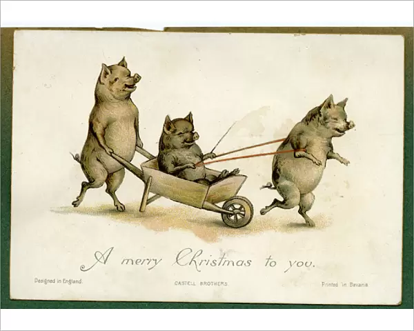 Christmas card, three pigs with a wheelbarrow